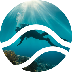 Diving